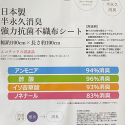 北欧柄　選べるサイズ・柄・裏地　マスク　レース　ドット　メンズ　レディース　キッズ 7枚目の画像