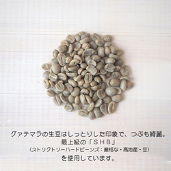 グアテマラ『森の大地』コーヒー豆　200g【受注後焙煎】 3枚目の画像