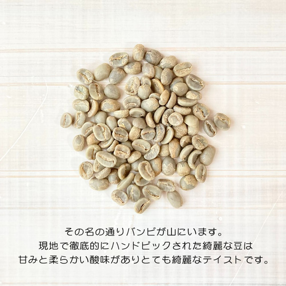 『バンビマウンテン』コーヒー豆200g　【受注後焙煎】 2枚目の画像