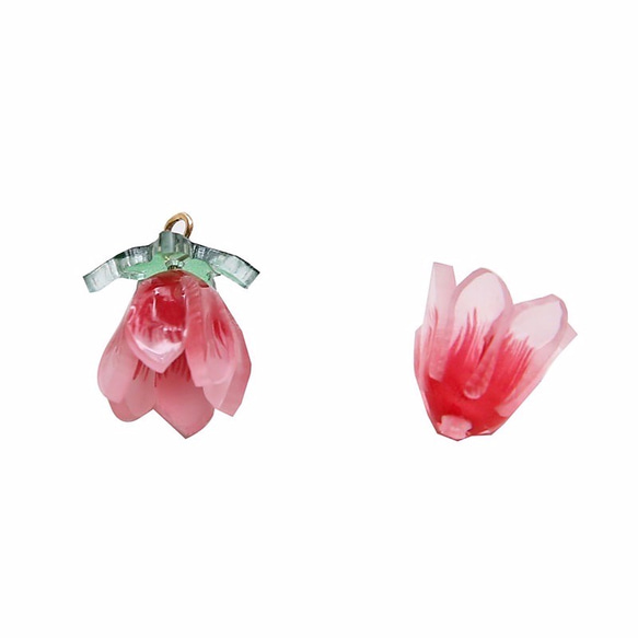 【2セット入】お花とリーフセット　パーツ　プラバン　フラワー　F0061 10枚目の画像