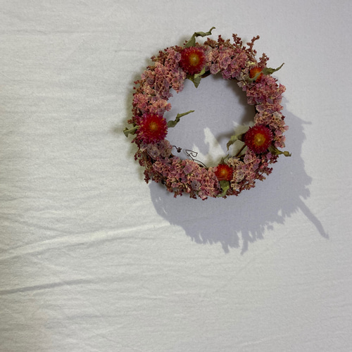 送料無料】ドライフラワーのリース〈千日紅/スターチス〉 ドライ