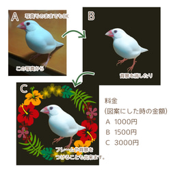  第3張的照片