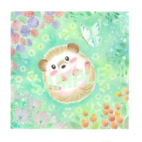 ハリネズミの一休み Mサイズ ハリネズミの一休み Mサイズ 初めての