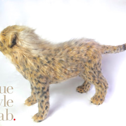 The cheetah cub 2枚目の画像