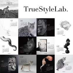 【限定】2021 TrueStyleLab. オリジナルカレンダー 3枚目の画像