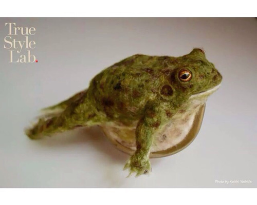ウシガエル ペーパーウェイト カエルオブジェ 地球と蛙 | caeru