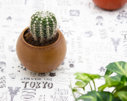 くりくりミニプランター「Plant Pots Mini」☆多肉植物・サボテン