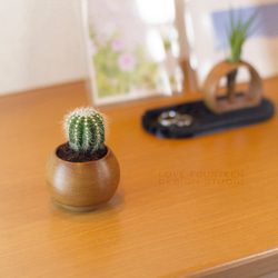 くりくりミニプランター「Plant Pots Mini」☆多肉植物・サボテン・かわいい☆ 2枚目の画像