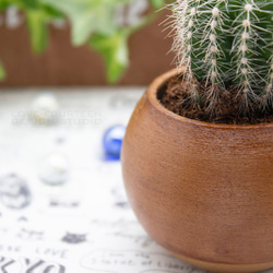 くりくりミニプランター「Plant Pots Mini」☆多肉植物・サボテン・かわいい☆ 5枚目の画像