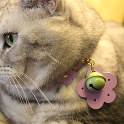 Zemoneni Pets 桜の季節 牛革ペットカラー 猫の首輪 犬の首輪 Creema猫の日 7枚目の画像