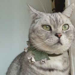 Zemoneni Pets  3D flower collection 朝顔 牛革ペットカラー 猫の首輪 犬の首輪 2枚目の画像