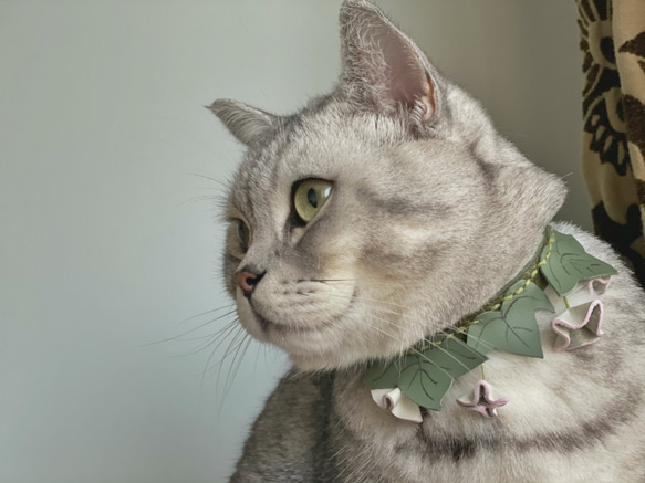 Zemoneni Pets  3D flower collection 朝顔 牛革ペットカラー 猫の首輪 犬の首輪 7枚目の画像