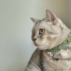 Zemoneni Pets  3D flower collection 朝顔 牛革ペットカラー 猫の首輪 犬の首輪 8枚目の画像