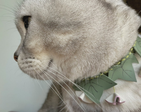 Zemoneni Pets  3D flower collection 朝顔 牛革ペットカラー 猫の首輪 犬の首輪 9枚目の画像