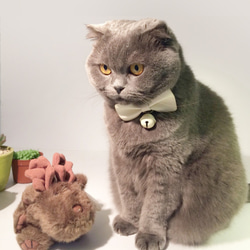 Zemoneni Pets  Bow tie collection 牛革ペットカラー 猫の首輪 犬の首輪 7枚目の画像