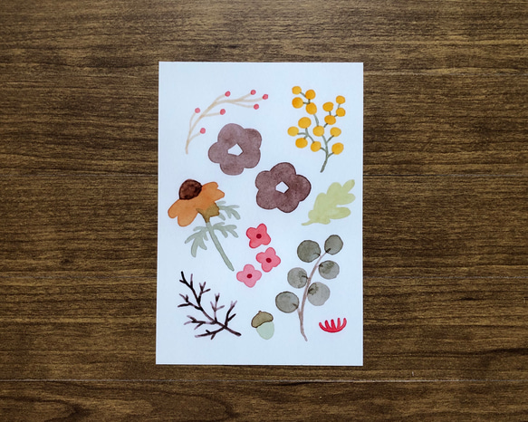 水彩 ポストカード 3枚セット 秋色の花や実 1枚目の画像