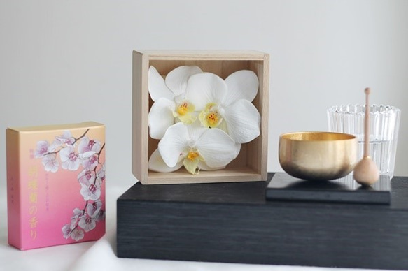 桐箱セット　お花とお線香”胡蝶蘭” 5枚目の画像
