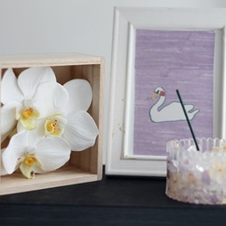 桐箱セット　お花とお線香”胡蝶蘭” 6枚目の画像