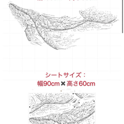 M70ウォールステッカー 北欧 鯨 クジラ 剥がせる シート壁紙　インテリア 6枚目の画像