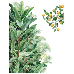 M201ウォールステッカー 観葉植物 緑葉 植物 鉢植え 剥がせる 壁紙 5枚目の画像