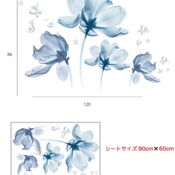  第7張的照片