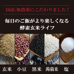 【定期購入 6か月】酵素玄米 150g 10食分 送料無料 無農薬 ヘルシー 国産 酵素玄米 真空パック 冷凍 2枚目の画像