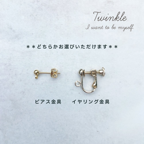 ✨特別な絆✨　③ イヤリング価格となっております 鈴なりビーズの煌めくピアス/イヤリング＜rainbow/Long＞ イヤリング