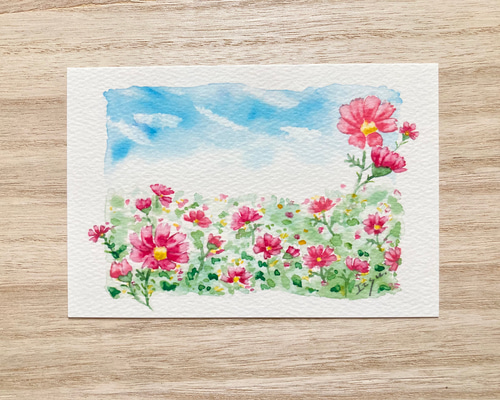 3枚セット「秋空のコスモス」水彩画イラストポストカード 3枚セット「秋空のコスモス」水彩画イラストポストカード