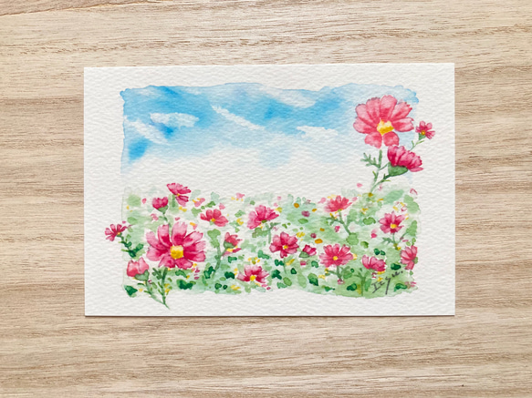 3枚セット「秋空のコスモス」水彩画イラストポストカード　コスモス　秋桜　花　秋 1枚目の画像