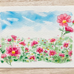 3枚セット「秋空のコスモス」水彩画イラストポストカード　コスモス　秋桜　花　秋 2枚目の画像