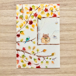 3枚セット「猫ちゃん、読書の秋」水彩画イラストポストカード　ネコ　ねこ　紅葉　敬老の日 1枚目の画像