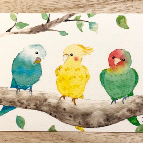限定セール 3枚セット「仲良しインコたち」水彩画イラストポストカード 鳥 絵画