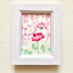 可憐なコスモス」水彩画イラストミニ額 プチギフト 秋桜 秋 敬老