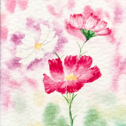可憐なコスモス」水彩画イラストミニ額 プチギフト 秋桜 秋 敬老 可憐なコスモス」水彩画イラストミニ額 プチギフト 秋桜 秋 敬老