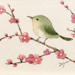 「梅とうぐいす」水彩画イラストミニ額　お正月　プチギフト 4枚目の画像