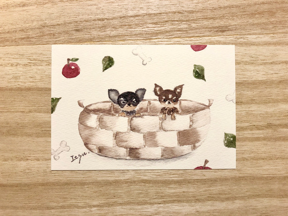 3枚セット「仲良しチワワ」水彩画イラストポストカード　犬　 1枚目の画像