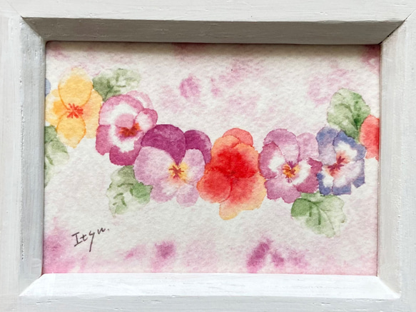 「すみれ色のパンジー」水彩画イラストポストカード　ビオラ　春　プチギフト 4枚目の画像