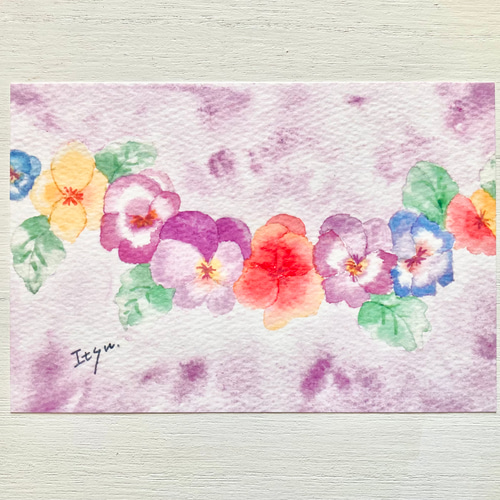 3枚セット「すみれ色のパンジー」水彩画イラストポストカード 春