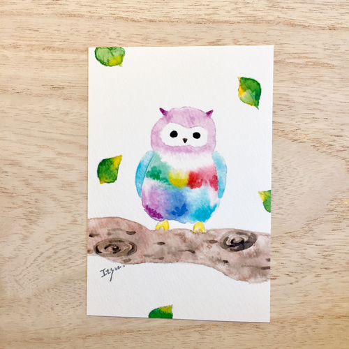 透明水彩画3枚セット「虹色のフクロウ」イラスト ポストカード 透明水彩画3枚セット「虹色のフクロウ」イラスト ポストカード