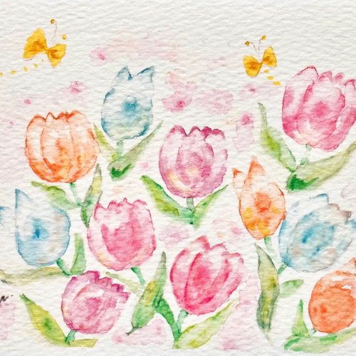 3枚セット「ふんわりチューリップ」水彩画イラストポストカード 春 花  
