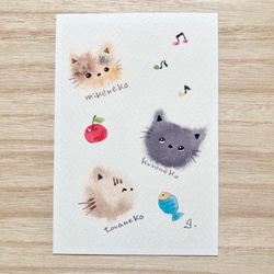 3枚セット「猫ちゃんたち」水彩画イラストポストカード　ネコ　ねこ　三毛猫　黒猫 1枚目の画像