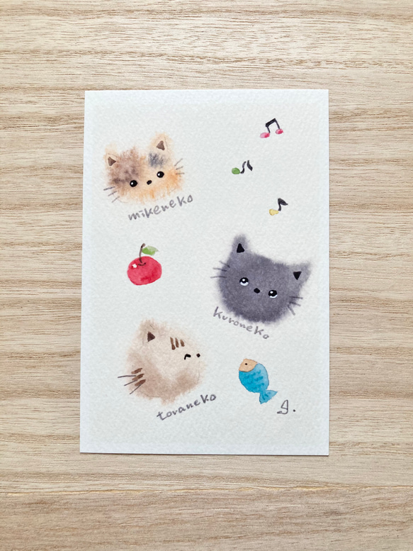 3枚セット「猫ちゃんたち」水彩画イラストポストカード　ネコ　ねこ　三毛猫　黒猫 1枚目の画像