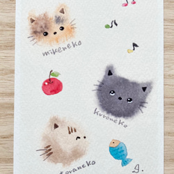 3枚セット「猫ちゃんたち」水彩画イラストポストカード　ネコ　ねこ　三毛猫　黒猫 2枚目の画像