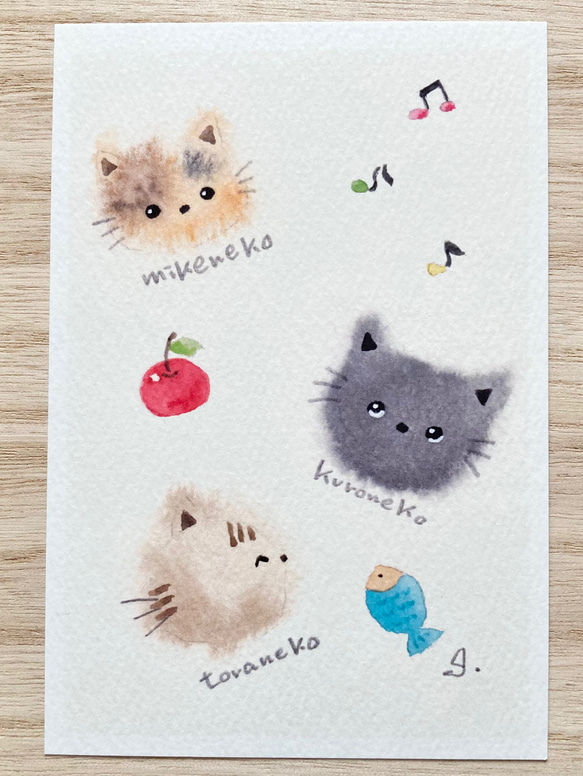 3枚セット「猫ちゃんたち」水彩画イラストポストカード　ネコ　ねこ　三毛猫　黒猫 2枚目の画像