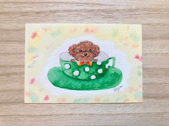3枚セット「コーヒーカップわんちゃん(グリーン)」水彩画イラストポストカード　犬　いぬ　トイプードル　プードル　 1枚目の画像