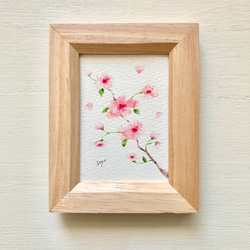 透明水彩画「ふんわりさくら」イラスト ミニ額 桜 花 サクラ プチ