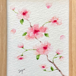 透明水彩画「ふんわりさくら」イラスト　ミニ額　桜　花　サクラ　プチギフト  入園入学式　母の日 4枚目の画像