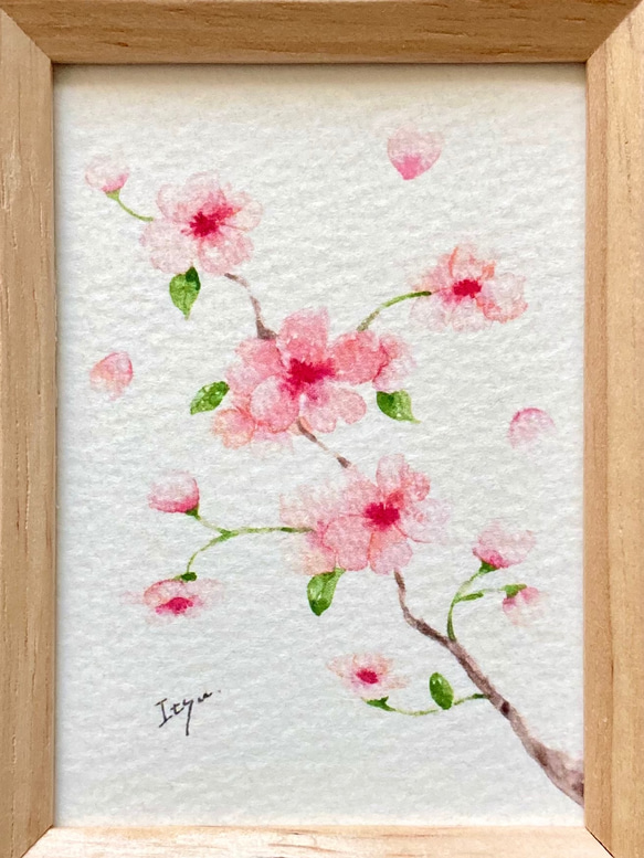 透明水彩画「ふんわりさくら」イラスト　ミニ額　桜　花　サクラ　プチギフト  入園入学式　母の日 4枚目の画像