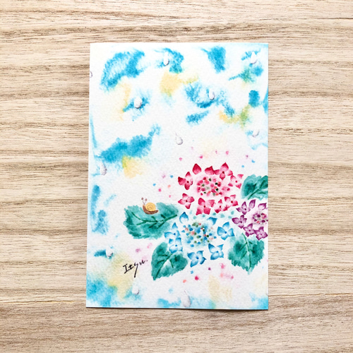 3枚セット「ふんわりガクアジサイ」水彩画イラストポストカード 紫陽花