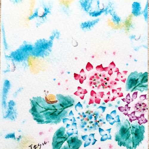 3枚セット「ふんわりガクアジサイ」水彩画イラストポストカード 紫陽花